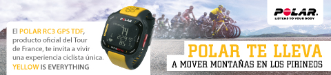 polar cab 2013