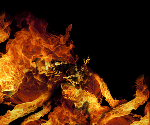 Banner_300x250_MIDA-REAL